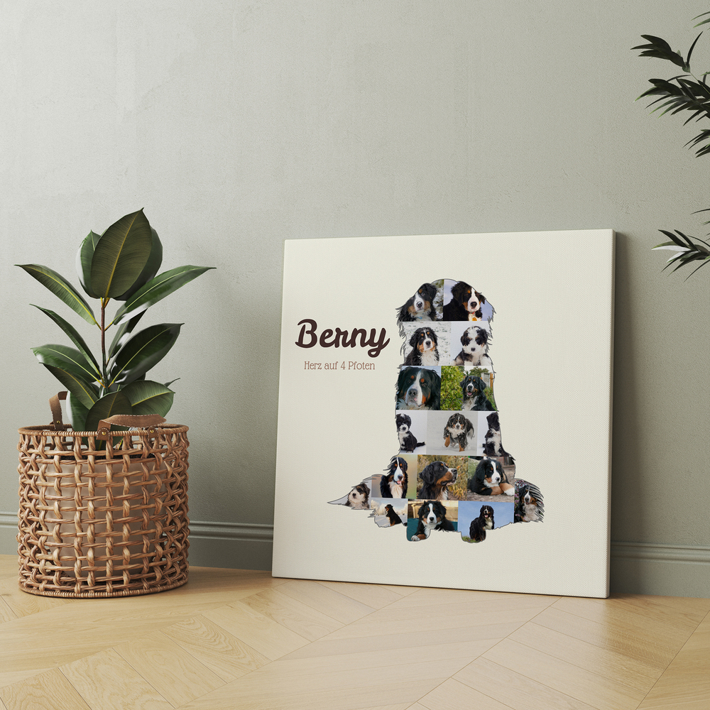 Berner-Sennenhund-Fotocollage mit Namen auf Leinwand, am Boden an eine graue Wand gelehnt neben einer Zimmerpflanze