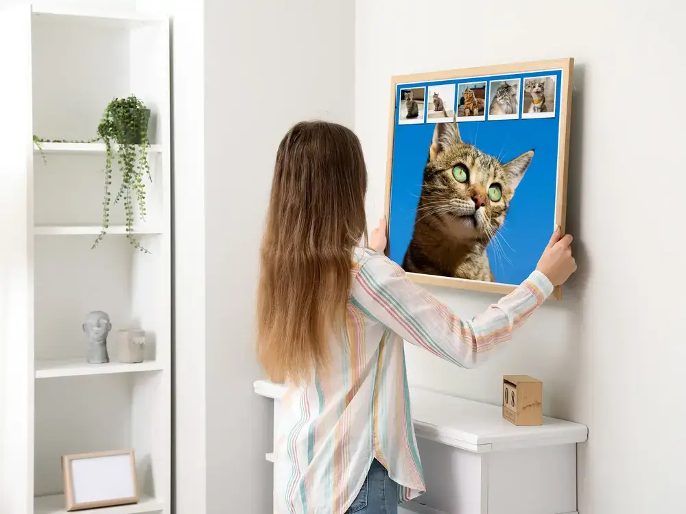 Katzen-Fotocollage mit blauem Hintergrund und kleiner Fotoreihe im Holzrahmen an der Wand über einer weißen Kommode