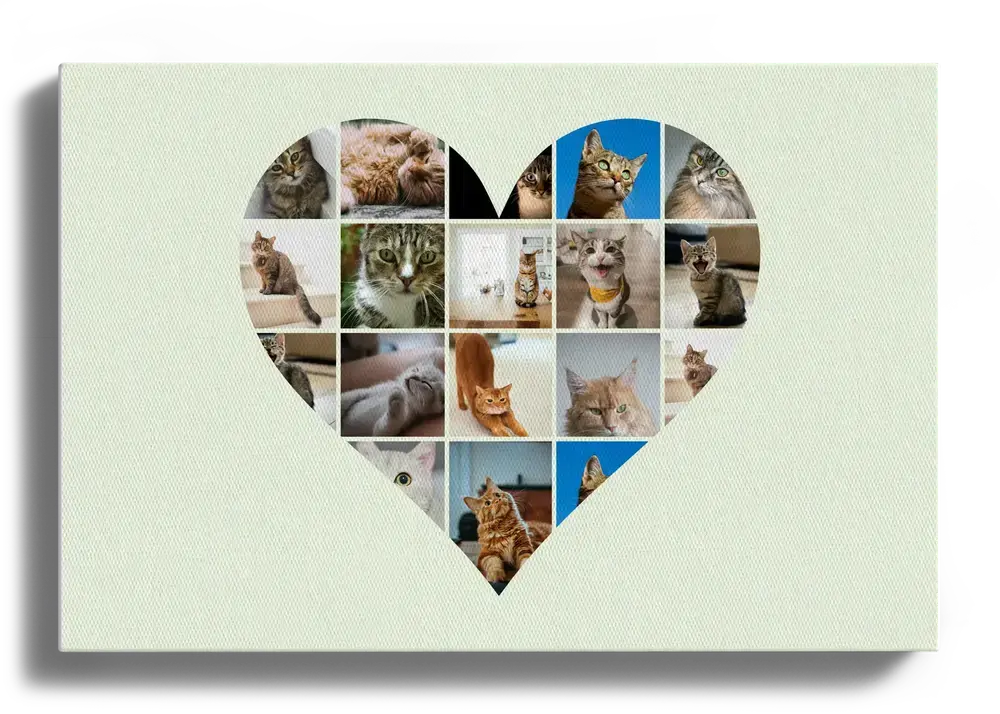 Katzenfotos als Herz auf hellgrüner Leinwand im Querformat, ein Wandbild für Katzenliebhaber