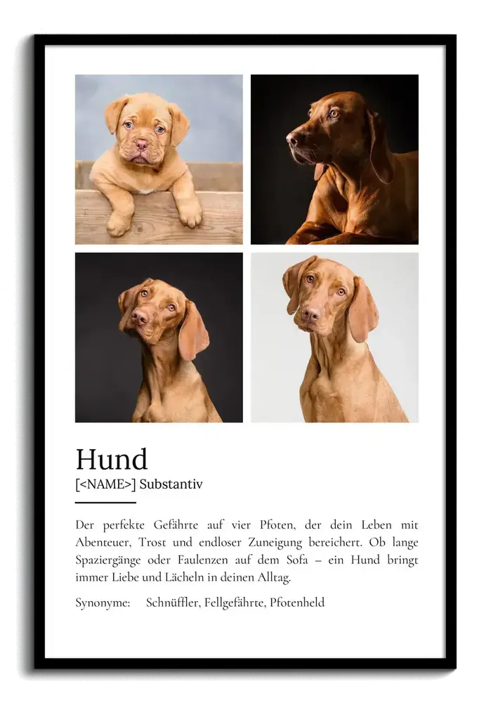 Definitionsposter mit vier Hundefotos im Raster und Text im Wörterbuch-Stil, im schwarzen Rahmen