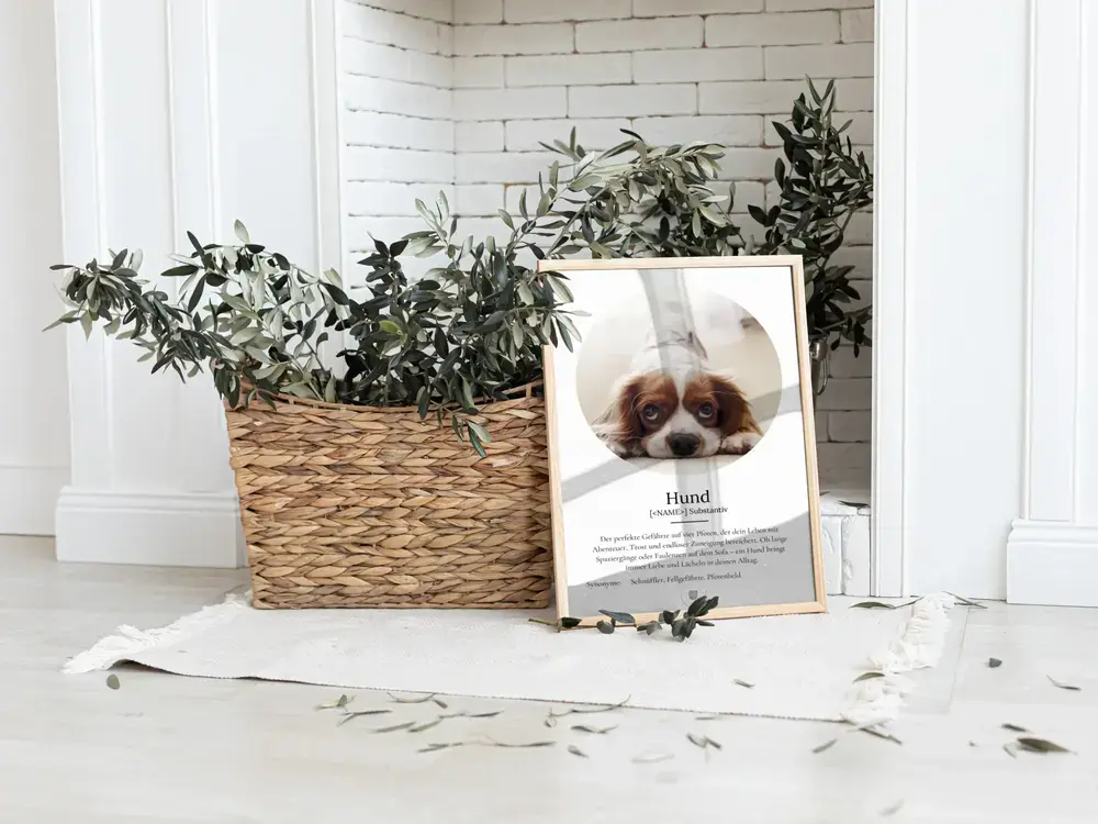 Definitionsposter mit ovalem Hundefoto im Naturholzrahmen, auf dem Boden neben einem geflochtenen Pflanzenkorb