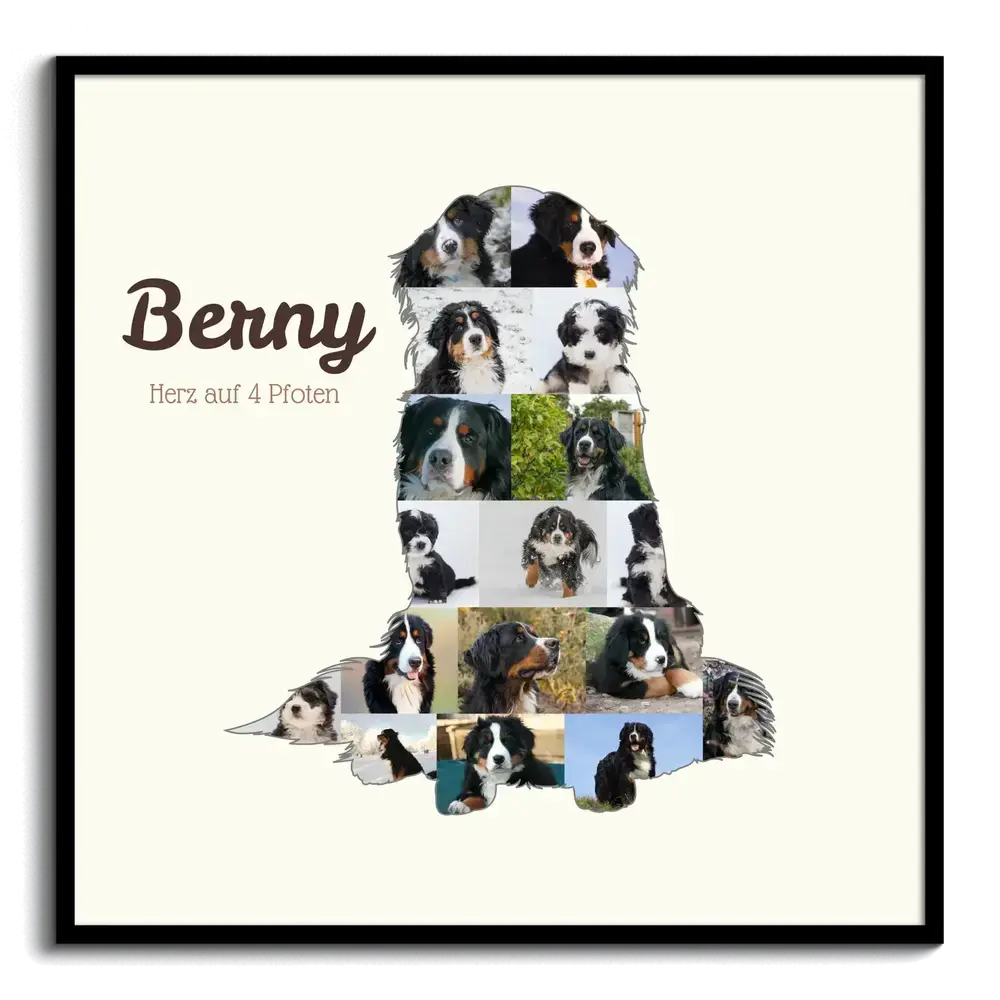 Fotocollage als sitzender Berner Sennenhund mit Namen und persönlichem Text im schwarzen Rahmen auf hellem Grund