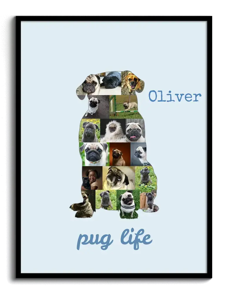 Hellblaue Mops-Fotocollage mit Namen und Spruch im schwarzen Rahmen, persönliches Geschenk für Hundeliebhaber