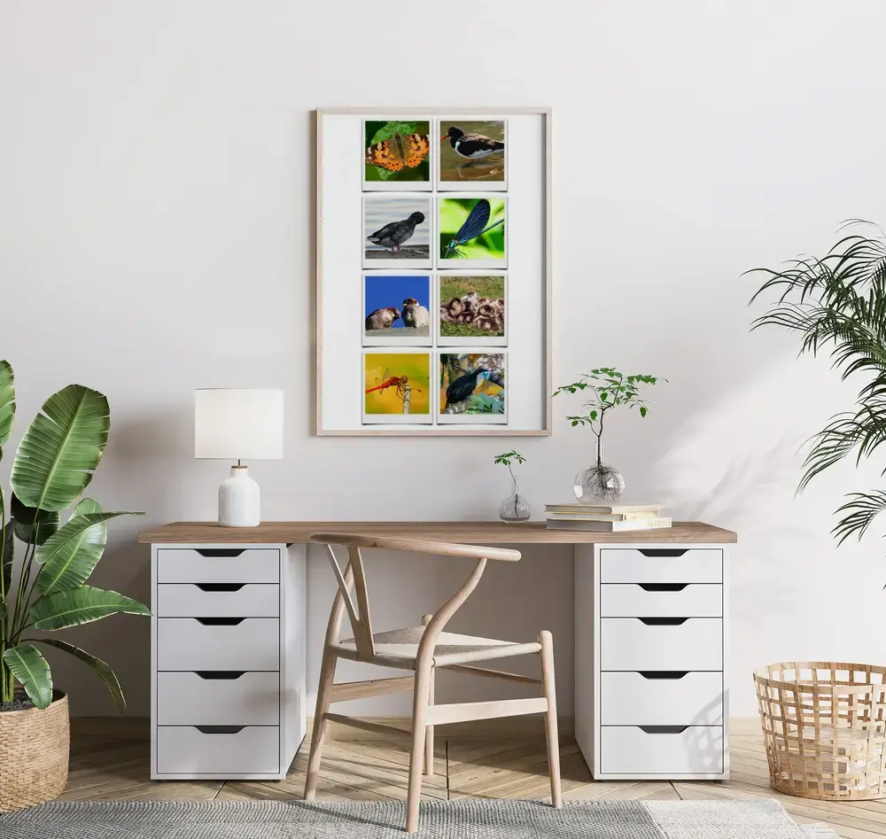 Polaroid-Tierfotocollage mit Vögeln und Insekten im hellen Holzrahmen über dem Schreibtisch im Arbeitszimmer