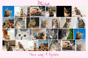 Katzen-Fotocollage jetzt gestalten - z.B. Herz auf 4 Pfoten, mit deinem Text