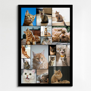 Katzen-Fotocollage jetzt gestalten - z.B. Herz auf 4 Pfoten, mit deinem Text