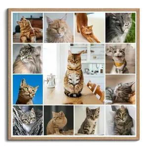 Katzen-Fotocollage jetzt gestalten - z.B. Herz auf 4 Pfoten, mit deinem Text