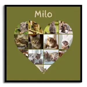 Herz-Collage mit Katzenfotos – jetzt mit deinem Namen oder Unser Liebling gestalten