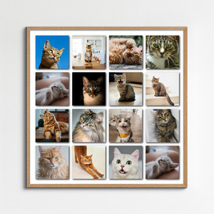 Katzen-Polaroid-Collage erstellen – mit Namen & Text deiner Katze personalisieren
