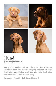 "Hund" Definition - Geschenk als Poster, Leinwand erstellen. Eigene Fotos und Text.