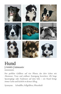"Hund" Definition - Geschenk als Poster, Leinwand erstellen. Eigene Fotos und Text.
