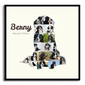 Hunde-Fotocollage "Berner Sennenhund" erstellen. Eigene Fotos, Namen und Texte.