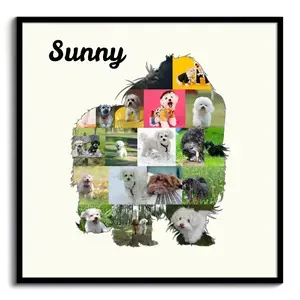 Hunde-Fotocollage "Bolonka Zwetna" erstellen. Eigene Fotos, Namen und Texte.