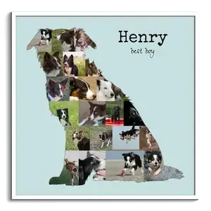 Hunde-Fotocollage "Border Collie" erstellen. Eigene Fotos, Namen und Texte.