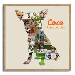 Hunde-Fotocollage "Chihuahua" erstellen. Eigene Fotos, Namen und Texte.