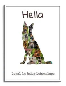 Hunde-Fotocollage "Deutscher Schäferhund" erstellen. Eigene Fotos, Namen und Texte.