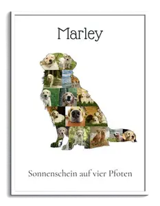 Hunde-Fotocollage "Golden Retriever" erstellen. Eigene Fotos, Namen und Texte.