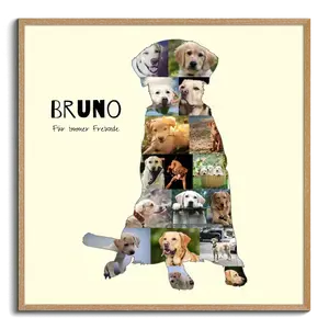 Hunde-Fotocollage "Labrador" erstellen. Eigene Fotos, Namen und Texte.