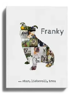 Hunde-Fotocollage "Old English Bulldog" erstellen. Eigene Fotos, Namen und Texte.