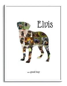 Hunde-Fotocollage "Rottweiler" erstellen. Eigene Fotos, Namen und Texte.