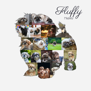 Hunde-Fotocollage "Shih Tzu" erstellen. Eigene Fotos, Namen und Texte.