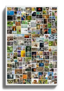 Kunst aus sehr vielen Fotos als kreative Collage. Premium-Druck auf Leinwand, Acryl, Dibond oder Poster