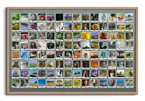 Erstelle deine einzigartige Polaroid-Collage mit 100+ Fotos und individuellen Texten!