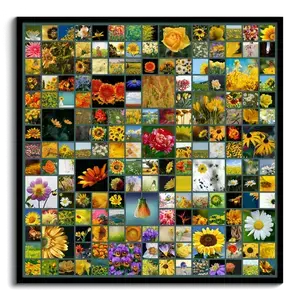 Erstelle deine Foto-Collage: Quadratisches Format für Naturbilder, 1 bis 225 Fotos