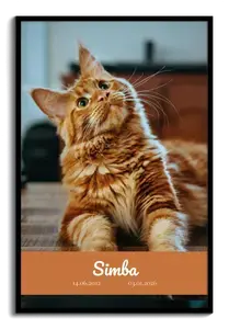 Gedenk-Collage Katze: Einzelbild, Name & Daten