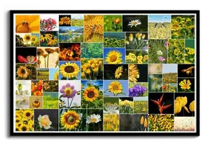 Fotocollage mit 61 Bildern in wilder Anordnung – Poster 50x75cm