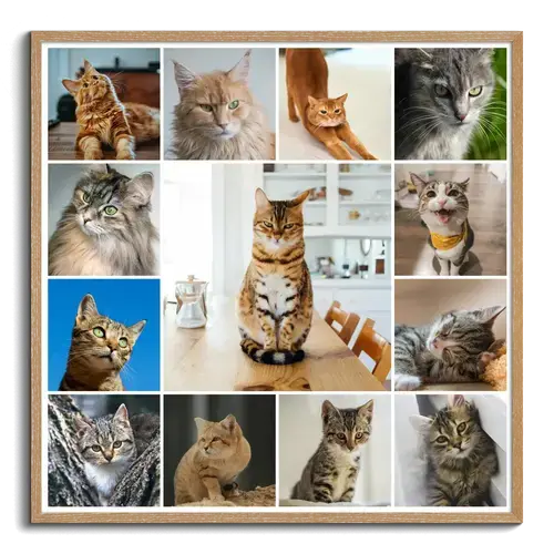 Katzen-Fotocollage jetzt gestalten - z.B. Herz auf 4 Pfoten, mit deinem Text