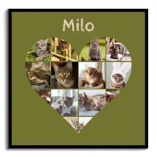 Herz-Collage mit Katzenfotos – jetzt mit deinem Namen oder Unser Liebling gestalten