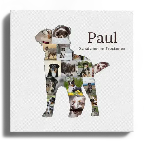 Hunde-Fotocollage "Australian Shepherd" erstellen. Eigene Fotos, Namen und Texte.