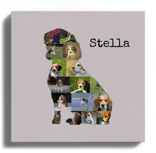 Hunde-Fotocollage "Beagle" erstellen. Eigene Fotos, Namen und Texte.