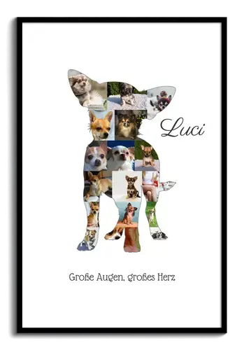 Hunde-Fotocollage "Chihuahua" erstellen. Eigene Fotos, Namen und Texte.