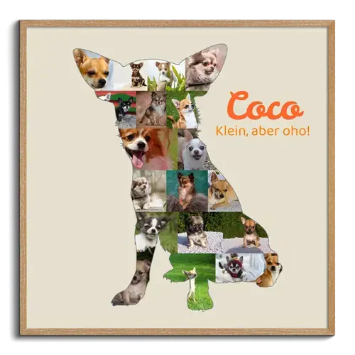Hunde-Fotocollage "Chihuahua" erstellen. Eigene Fotos, Namen und Texte.