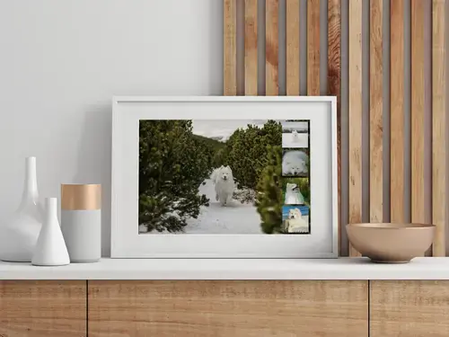 Fotocollage Hund individuell gestalten