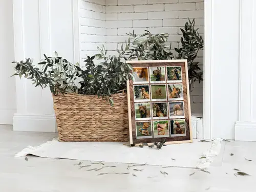 Hundefoto-Collage Herz, 3 Szenen, Polaroid