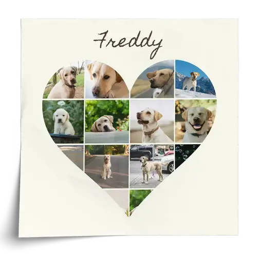 Hundefoto-Collage Herz, 3 Szenen, Polaroid