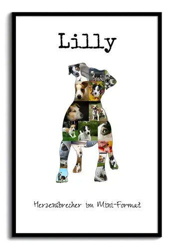 Hunde-Fotocollage "Jack Russell Terrier" erstellen. Eigene Fotos, Namen und Texte.