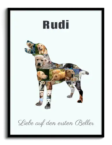 Hunde-Fotocollage "Labrador" erstellen. Eigene Fotos, Namen und Texte.