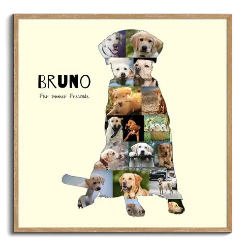 Hunde-Fotocollage "Labrador" erstellen. Eigene Fotos, Namen und Texte.
