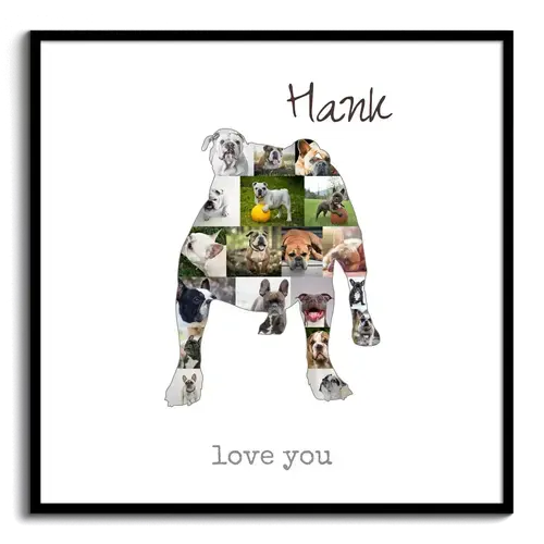 Hunde-Fotocollage "Old English Bulldog" erstellen. Eigene Fotos, Namen und Texte.