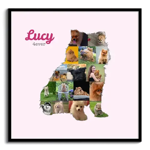 Hunde-Fotocollage "Pomeranian" erstellen. Eigene Fotos, Namen und Texte.
