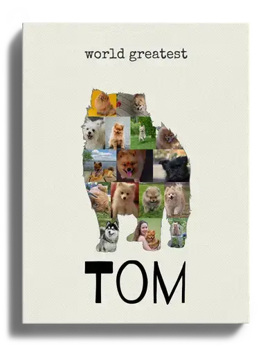 Hunde-Fotocollage "Pomeranian" erstellen. Eigene Fotos, Namen und Texte.