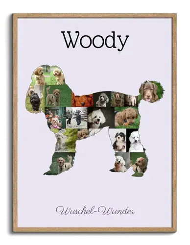 Hunde-Fotocollage "Pudel" erstellen. Eigene Fotos, Namen und Texte.
