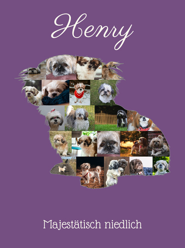 Hunde-Fotocollage "Shih Tzu" erstellen. Eigene Fotos, Namen und Texte.