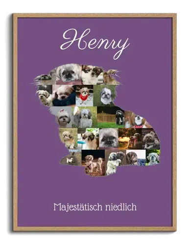 Hunde-Fotocollage "Shih Tzu" erstellen. Eigene Fotos, Namen und Texte.