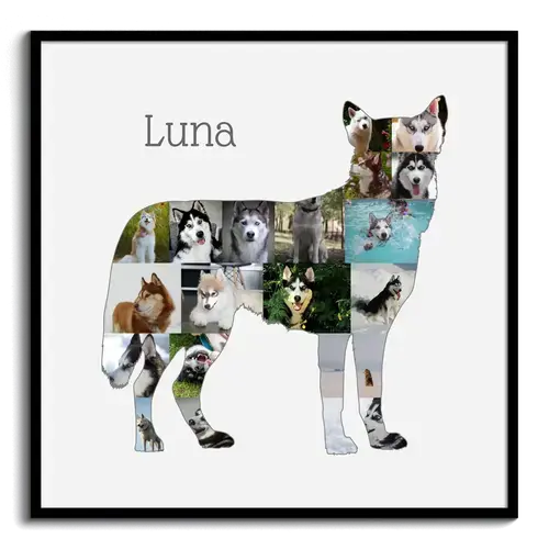 Hunde-Fotocollage "Siberian Husky" erstellen. Eigene Fotos, Namen und Texte.