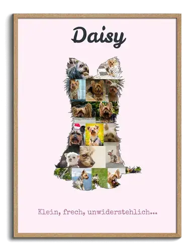 Hunde-Fotocollage "Yorkshire Terrier" erstellen. Eigene Fotos, Namen und Texte.
